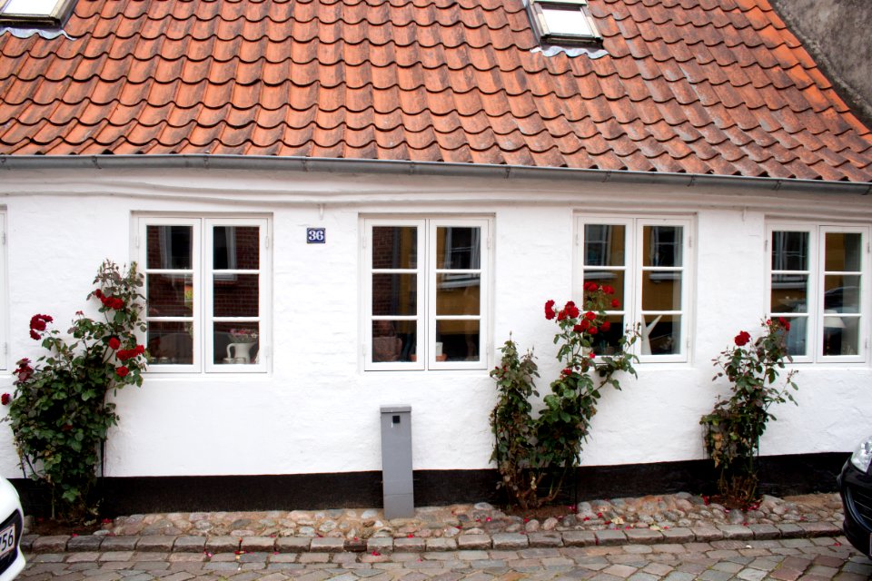 Hundegade 36, Ribe, detail of the town-2