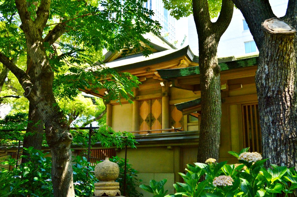 Ikasuri-jinja, honden