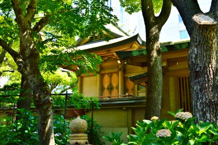 Ikasuri-jinja, honden