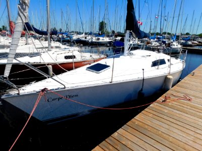 Hunter 28.5 sailboat Carpe Diem 4531