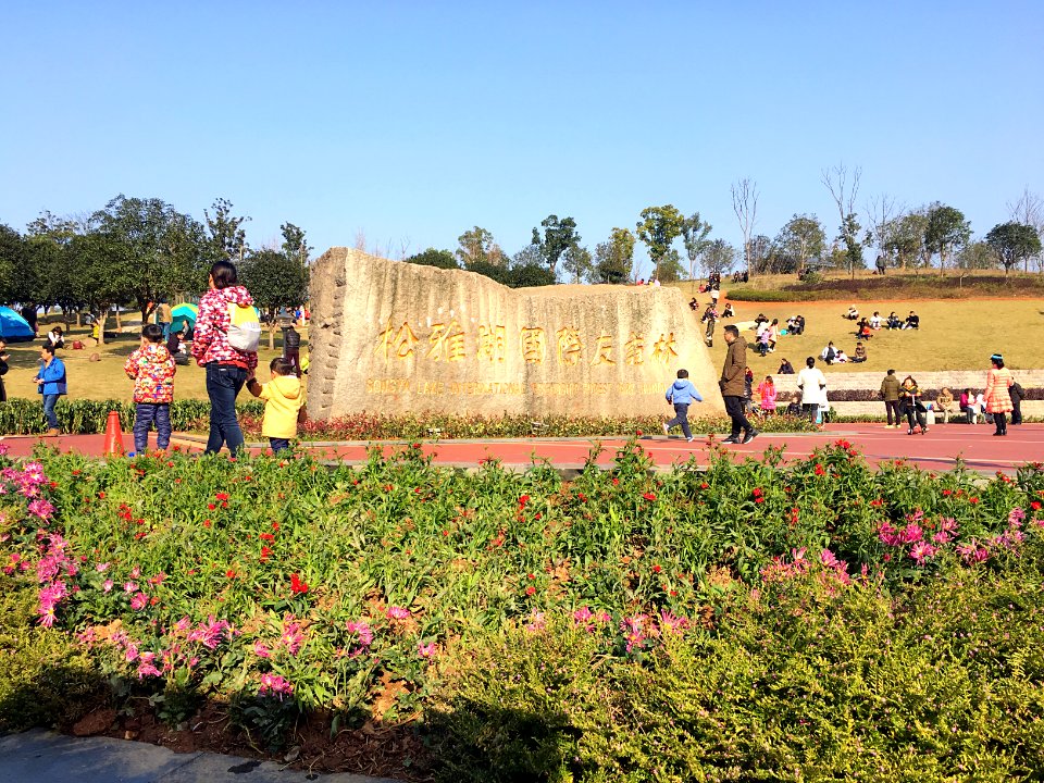 Hunan Songya Lake International Friendship Forest Park