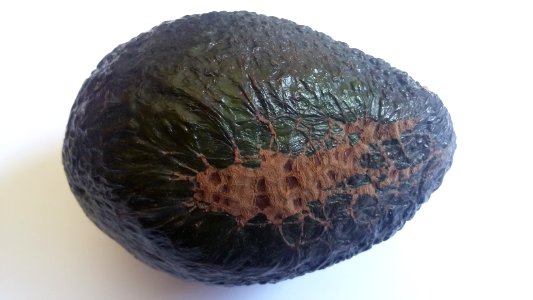 Imperfect Avocado - Stain1 A