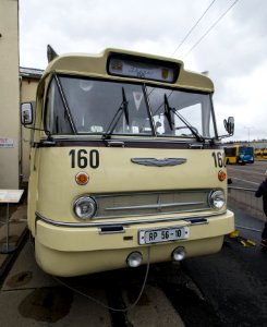 Ikarus 66 - Straßenbahnmuseum Dresden