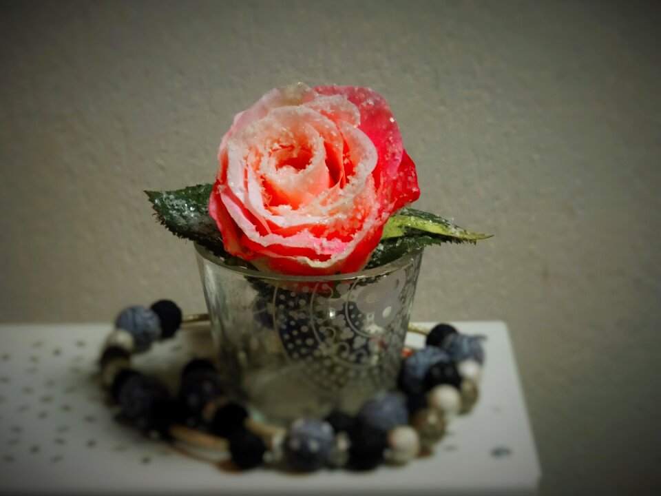 Decoration pink rose romance