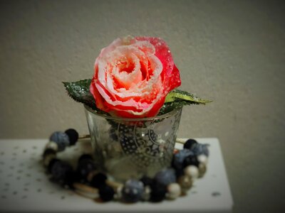 Decoration pink rose romance
