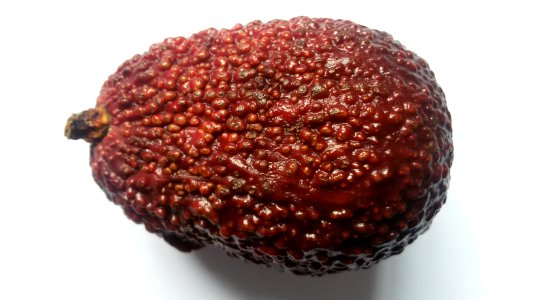 Imperfect Avocado - Mixed Colors5 B