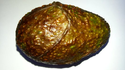 Imperfect Avocado - Mixed Colors2 A