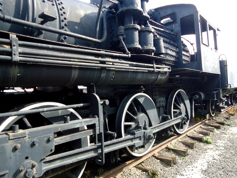 Images from Paterson Museum number 55
