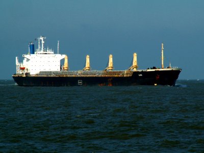 Ilse - IMO 8115291
