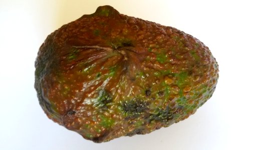 Imperfect Avocado - Mixed Colors1 D