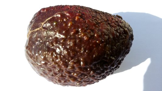 Imperfect Avocado - Nonsymmetrical1 B
