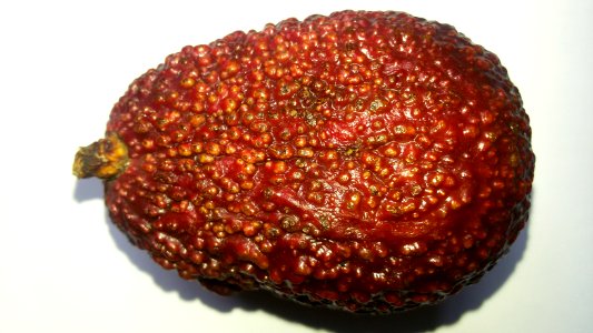 Imperfect Avocado - Mixed Colors5 A