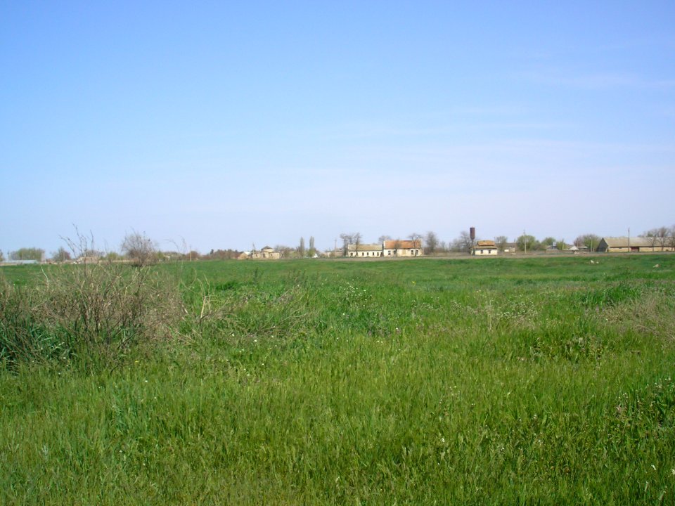 IlyinkaKrpr 7