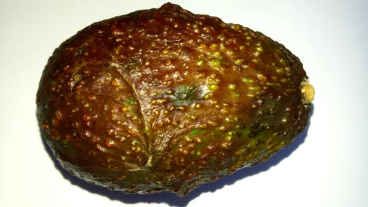 Imperfect Avocado - Mixed Colors3 A