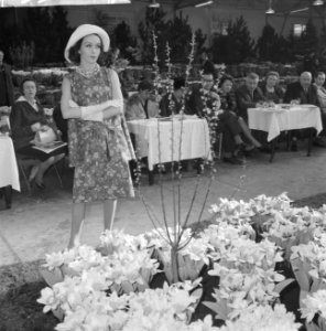 Illusion des Fleurs modeshow Bovenkarspel Modellen tussen bloemen en koeien, Bestanddeelnr 913-5460