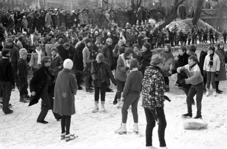 IJsshow op het ijs voor Lido aan het Leidse bosje , de jeugd aan het twisten, Bestanddeelnr 914-7825