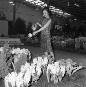 Illusion des Fleurs modeshow Bovenkarspel Modellen tussen bloemen en koeien, Bestanddeelnr 913-5457