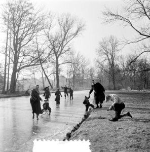 IJsplaatjes op AYC en Vondelpark, Bestanddeelnr 906-2667