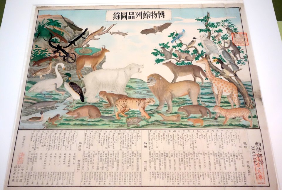 Illustrated Catalogue of the Museum, Animals No. 1, selected by Tanaka Yoshio (1838-1916), text by Mogami Kokichi (dates unknown), 1877, polychrome print on paper - Tokyo National Museum - DSC05485