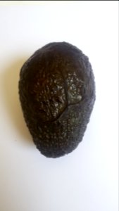 Imperfect Avocado - Wrinkle1 C