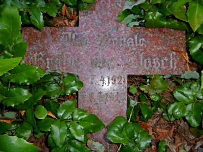 Ilse Renate Stosch