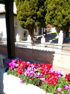 Illescas - La Almazara 08