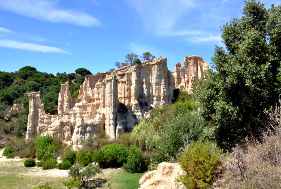 Ille-sur-Têt Orgues 27072014 11