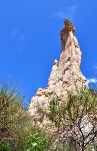 Ille-sur-Têt Orgues 27072014 05