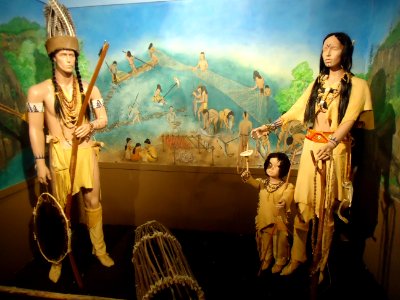 Images from Paterson Museum number 52