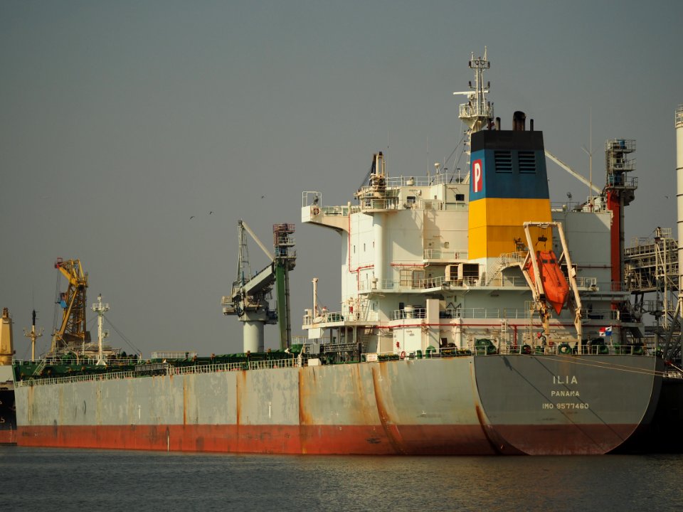 Ilia (ship, 2011) IMO 9577460 in the Vlothaven pic5