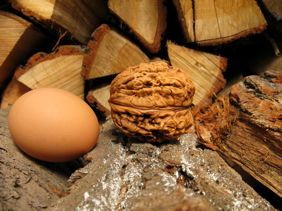 Hen's egg eat brown