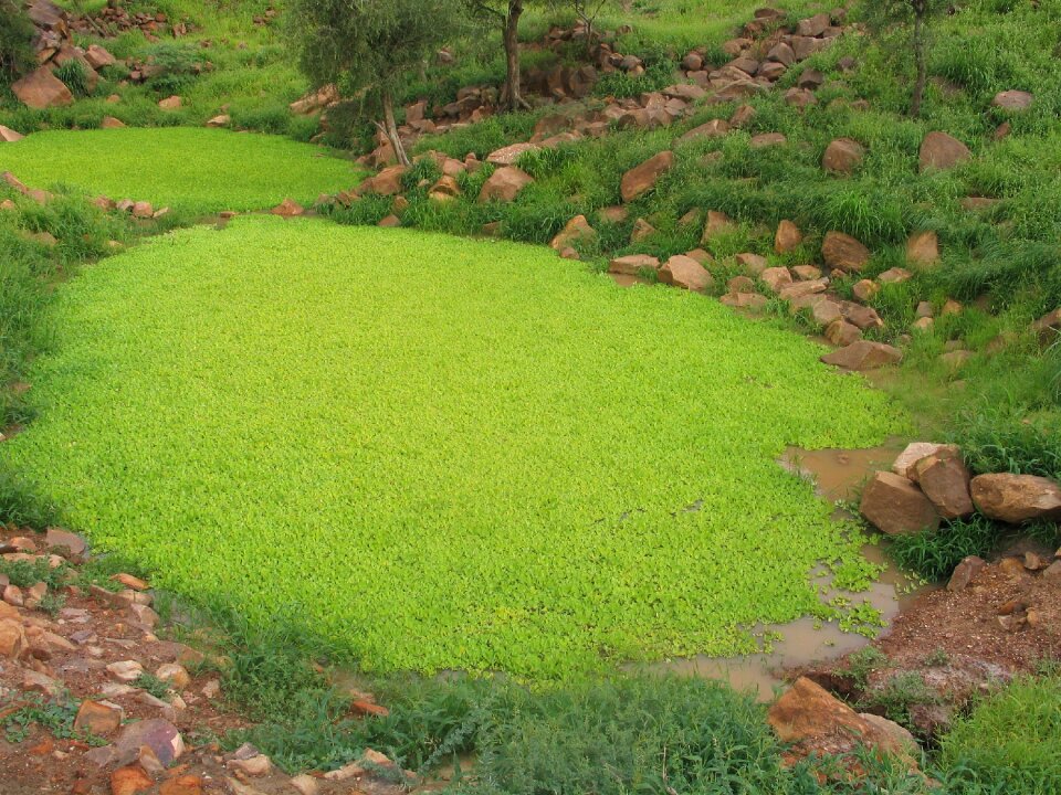 Africa african landscape mali