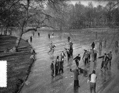 IJspret op vijvers in Vondelpark Amsterdam, Bestanddeelnr 907-5711