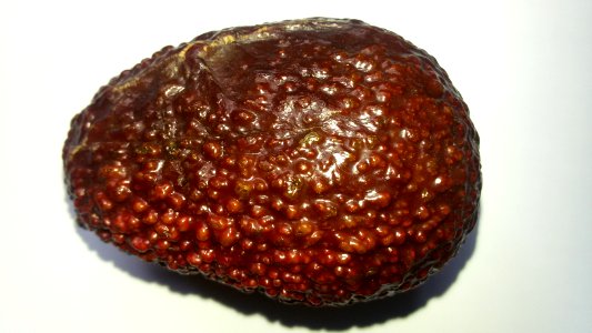 Imperfect Avocado - Mixed Colors5 C