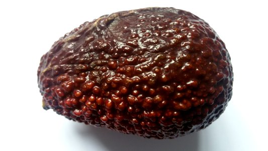 Imperfect Avocado - Mixed Colors5 D