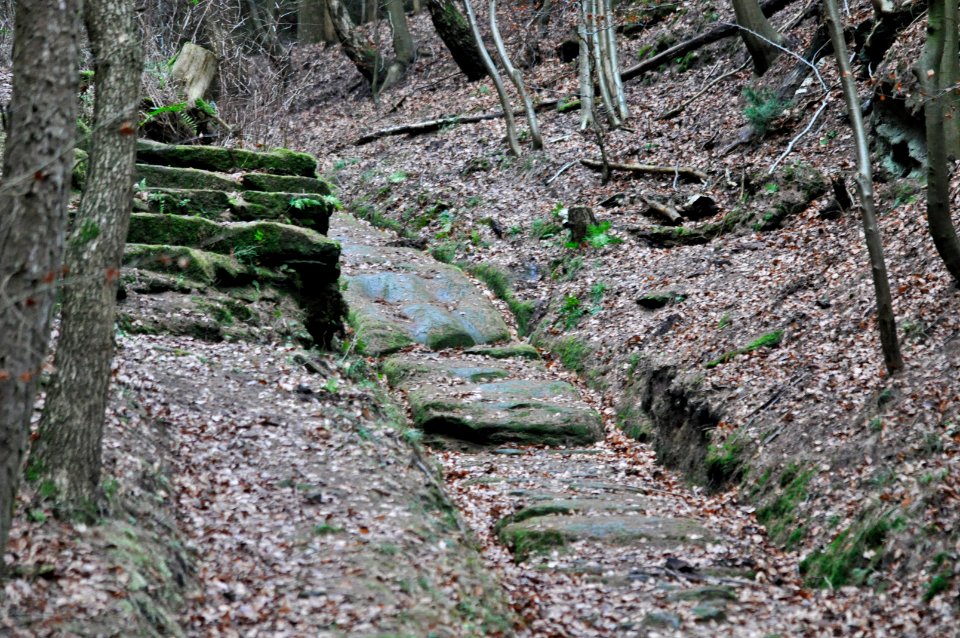 Iliantreppe 03
