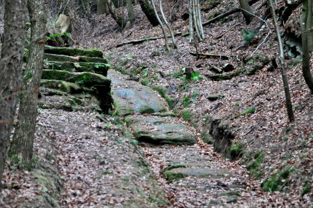 Iliantreppe 03