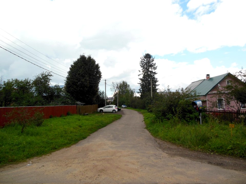 Ilyino (Istrinsky District) 3
