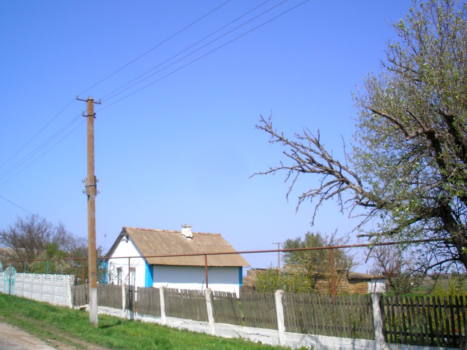 IlyinkaKrpr 12
