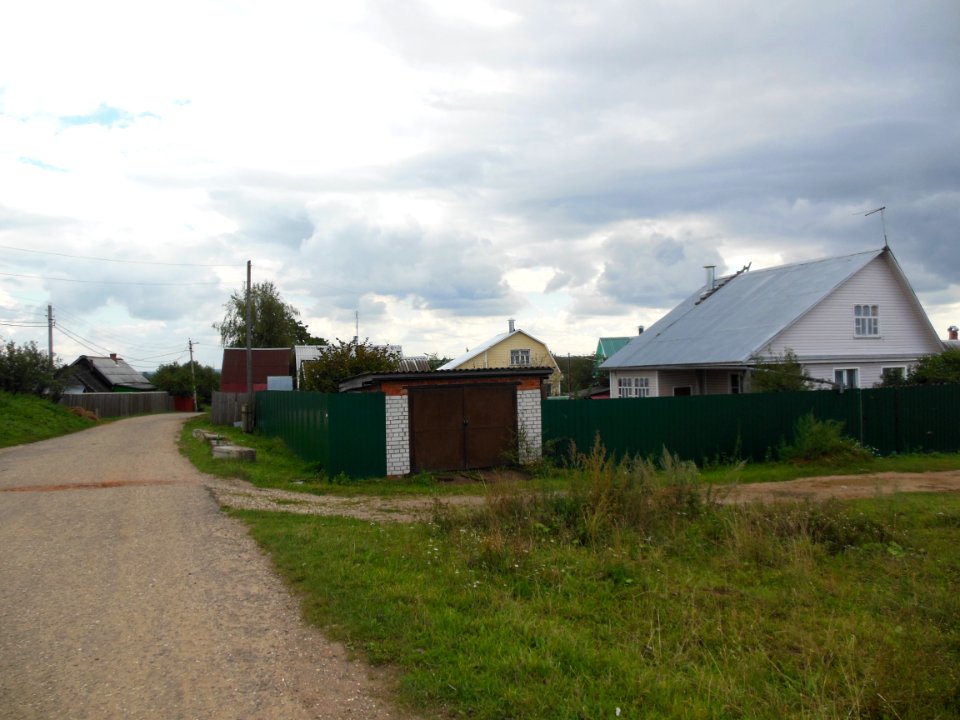 Ilyino (Istrinsky District) 4