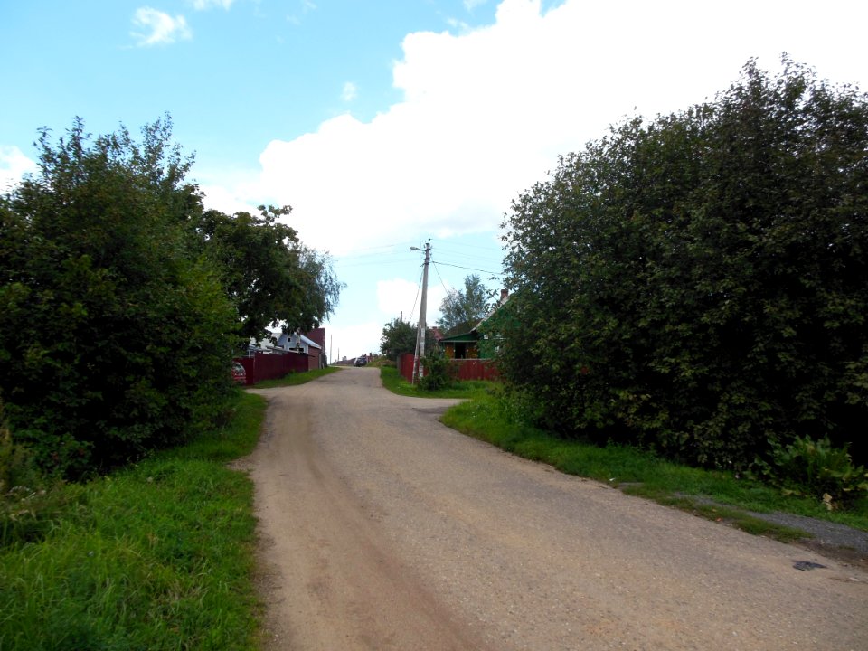 Ilyino (Istrinsky District) 2