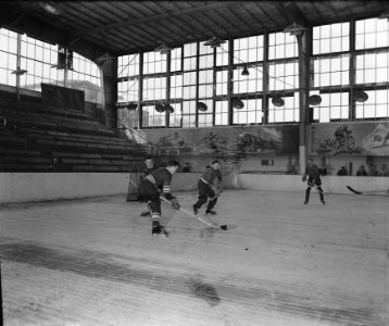 IJshockey in de Apollohal te Amsterdam, Bestanddeelnr 900-8791