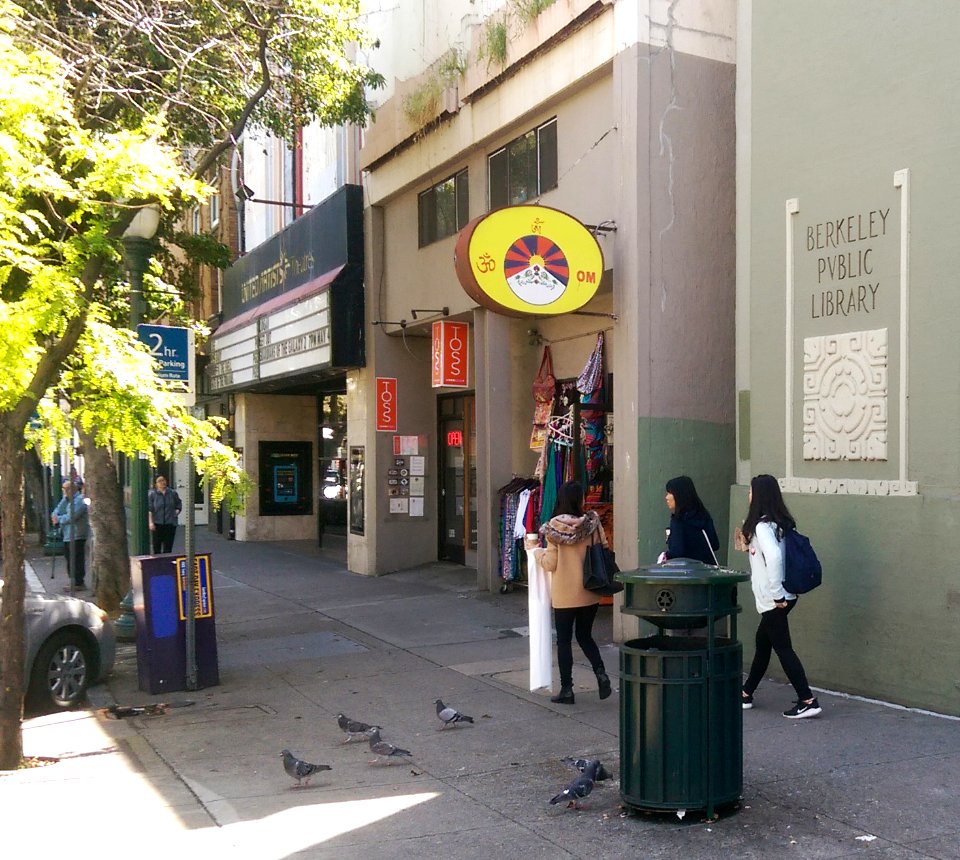 IMAG4088-downtown-berkeley-library