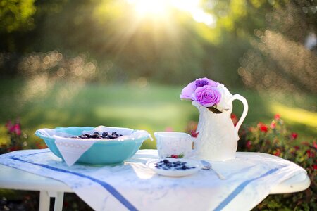 Blueberry food berry photo