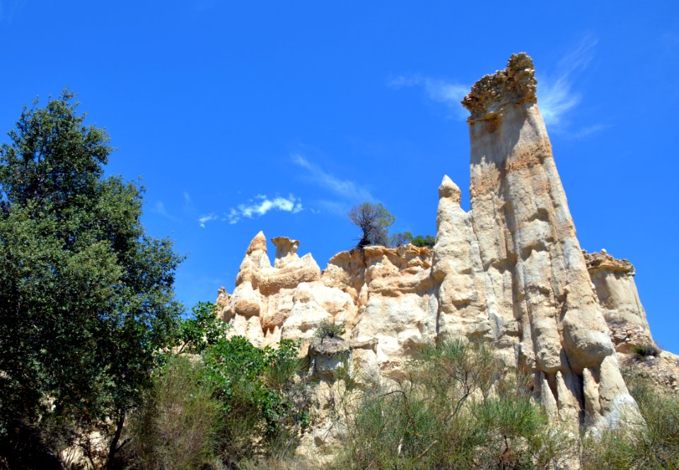 Ille-sur-Têt Orgues 27072014 03