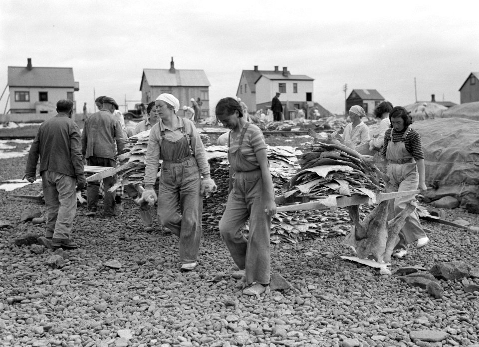 IJsland Vrouwen versjouwen stokvis op een berrie over een terrein waar stokvis , Bestanddeelnr 190-0439