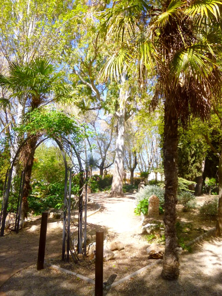 Illescas - Parque Manuel de Vega 08