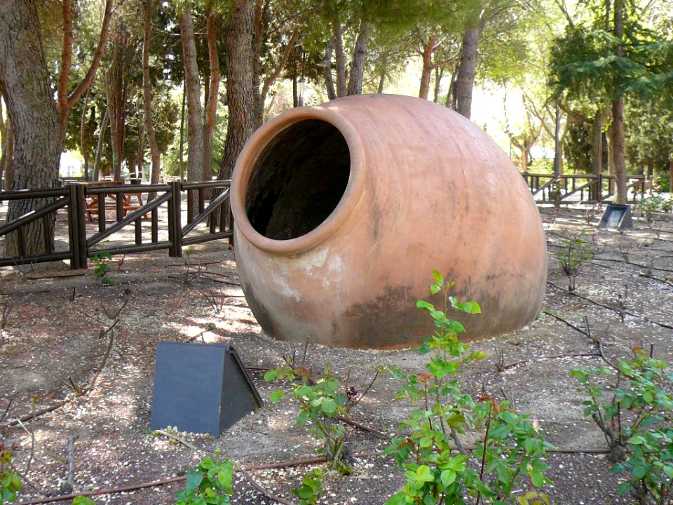 Illescas - Parque Manuel de Vega 11
