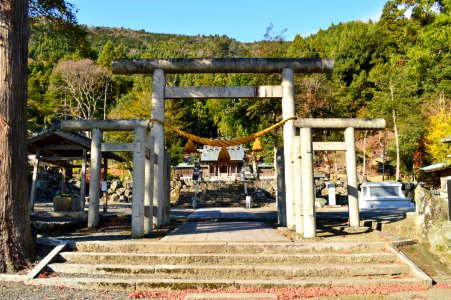 Ikagu-jinja, torii-1