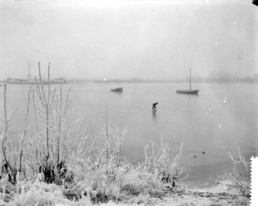 IJsselmeer bij Schellingwoude dichtgevroren, Bestanddeelnr 910-1517